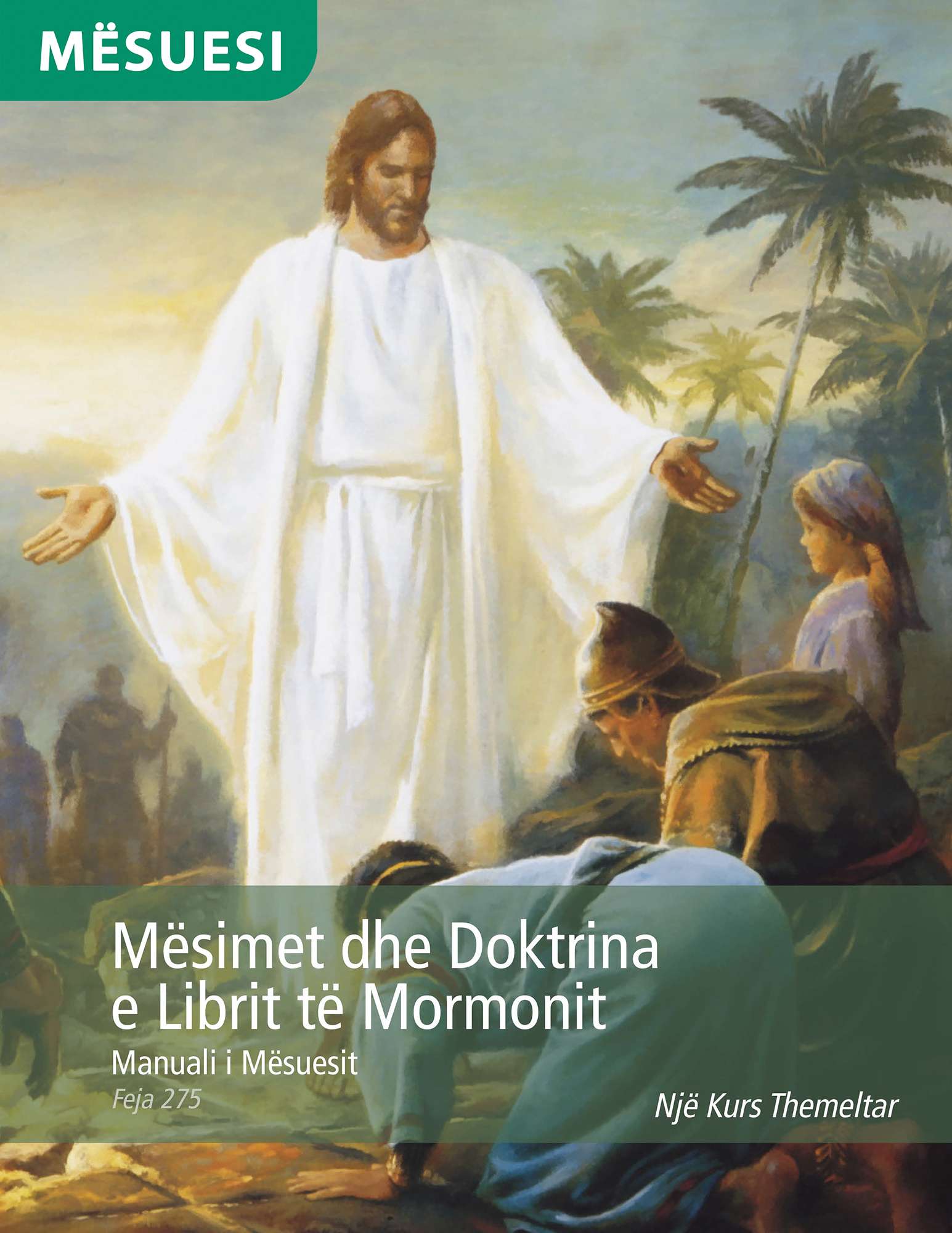 Mësimet dhe Doktrina e Librit të Mormonit – Manuali i Mësuesit (Feja 275)